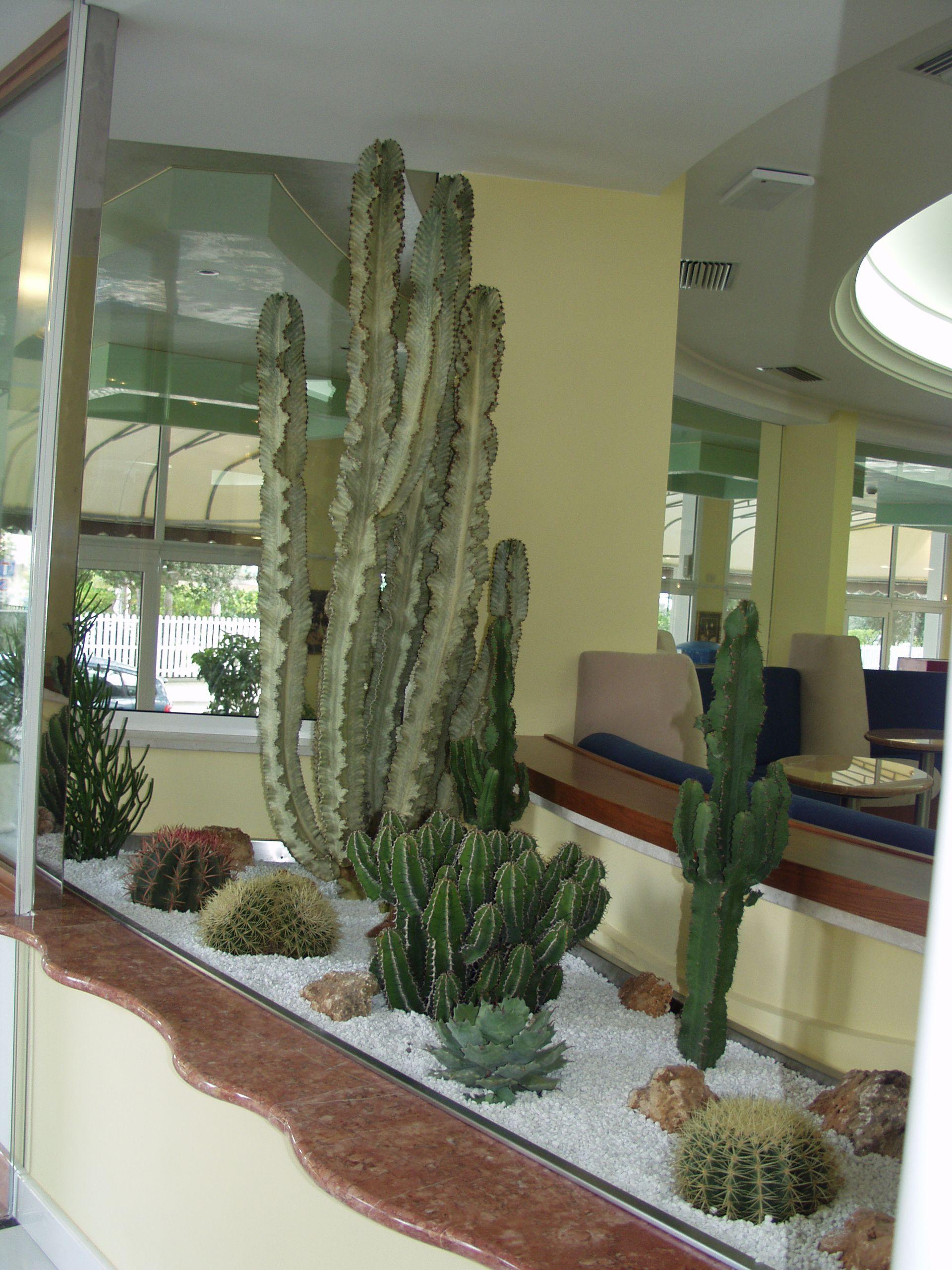 Coppe Lido di Jesolo